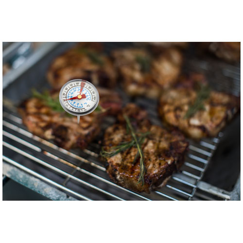 Measuring,Steak,Temperature,On,A,Grill