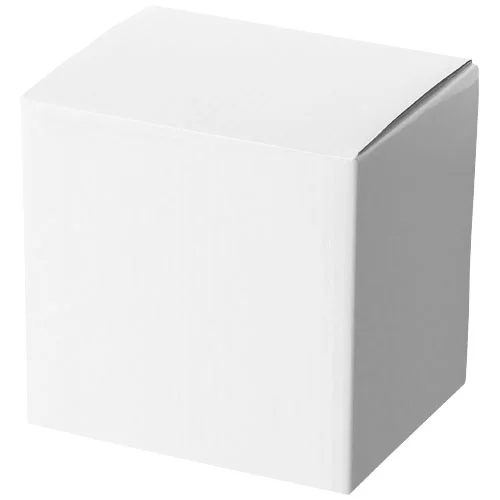10037700_P1